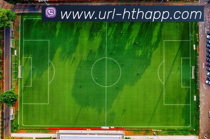 华体会发展历程